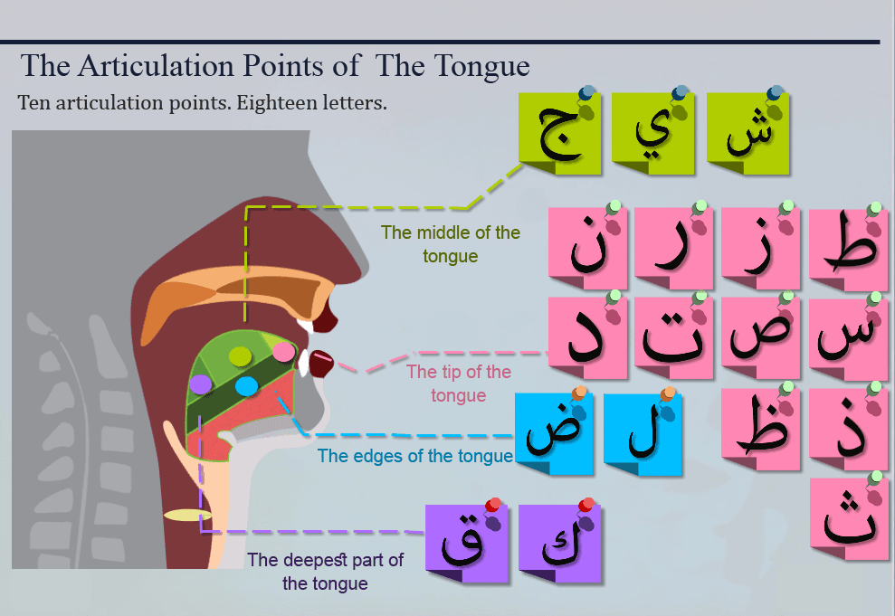 Quran Tajweed